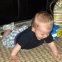 Asher Crawling